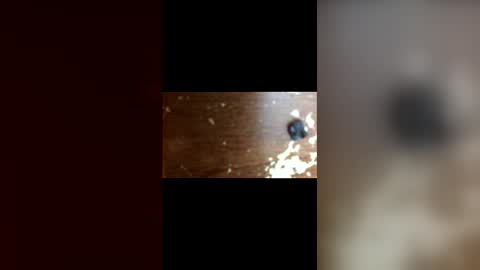 nightmoves1970 online show from April 5, 3:36 am