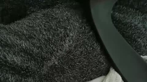 nineinchhard online show from October 21, 10:29 am