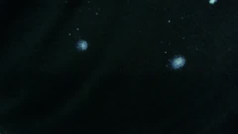 Snapshot of nmfun2 chatting on February 6, 5:30 pm NMFun online show from February 6, 5:30 pm