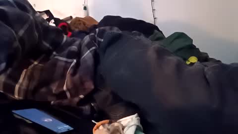 Snapshot of noah_wesley chatting on December 10, 7:16 am Noah Wesley online show from December 10, 7:16 am