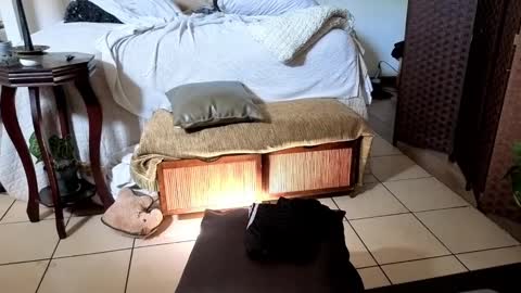 nobudget06 online show from February 16, 4:42 pm