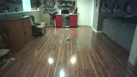 Nudistguy online show from March 15, 10:05 pm