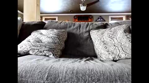 Nudistguy online show from February 1, 2:49 pm