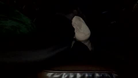 nylon2412 online show from September 13, 8:15 am