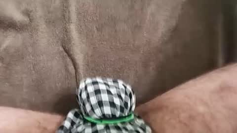 octorok1 online show from November 17, 7:00 am