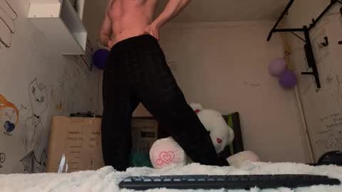 origamicat online show from January 17, 2:31 pm