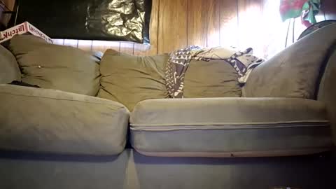 orionmoon280960750 online show from June 6, 9:10 pm