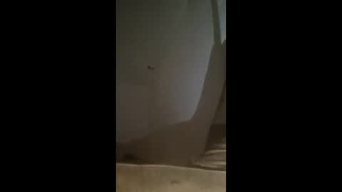 pararohjaguar_12 online show from April 13, 6:19 pm