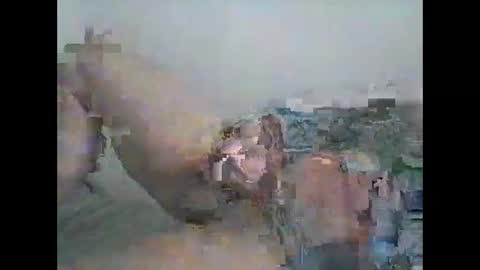 anytimeuwant online show from April 19, 11:09 am