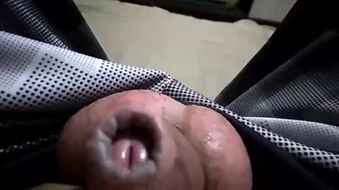 carlosjdo online show from February 23, 2:56 am