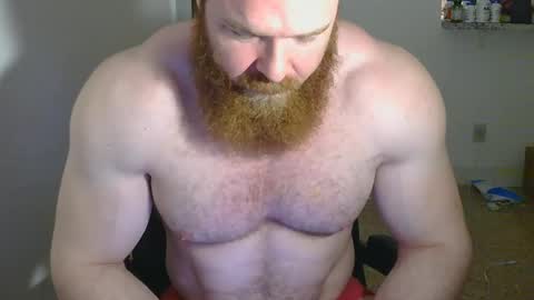 Pec inspector online show from February 13, 3:50 am