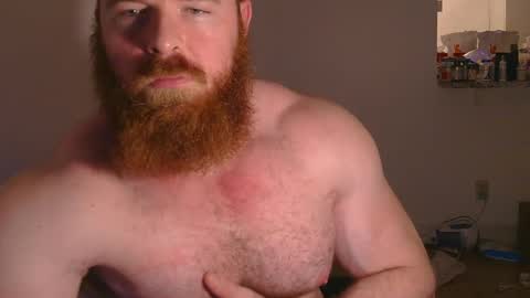 Pec inspector online show from January 31, 4:47 am