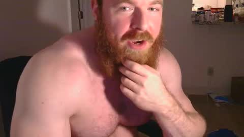 Pec inspector online show from February 15, 3:09 am