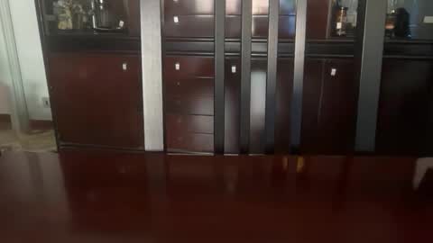 Pedrigno 79 online show from April 24, 9:44 am