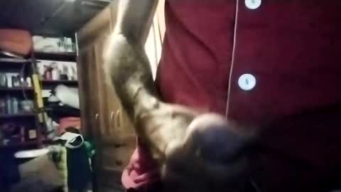 pepegrillo20209 online show from December 11, 9:42 am