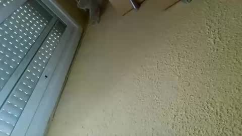 perales_12345 online show from April 19, 10:26 am