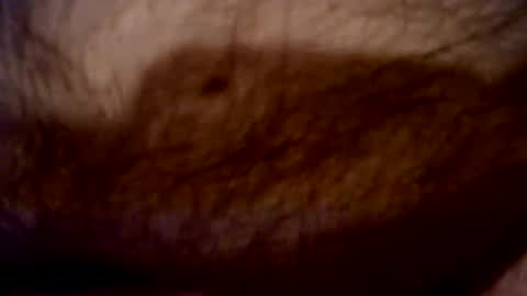 Snapshot of peterpeteropoulos chatting on February 22, 8:15 pm peterpeteropoulos online show from February 22, 8:15 pm