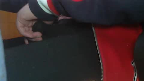 Piceditor online show from April 13, 9:15 pm