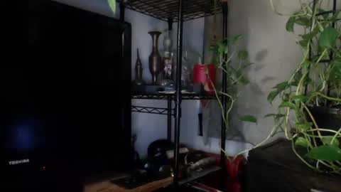 BEDBULL online show from January 23, 1:51 am