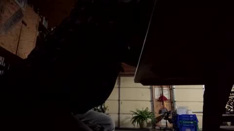 playerpleasure online show from October 26, 9:00 am