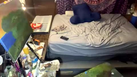 playfulpainter online show from April 16, 2:55 am