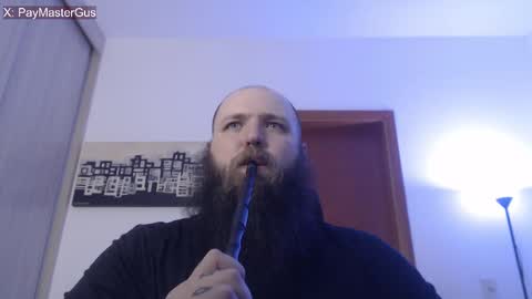 Bear online show from November 9, 1:31 am