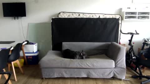 popopo0 online show from January 28, 5:24 pm