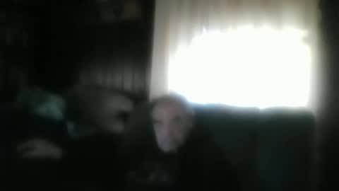 porkingit400 online show from November 19, 6:52 pm