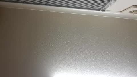 pretty_boy_jack online show from February 14, 2:50 am