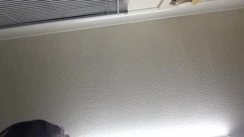 pretty_boy_jack online show from December 22, 11:42 pm