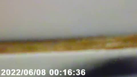 pretty_boy_jack online show from February 12, 2:56 am