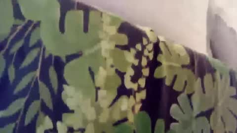 pretty_boy_jack online show from January 8, 1:00 am