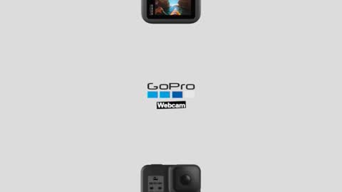 prittinho online show from April 16, 9:20 am