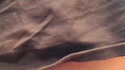 pulepower online show from March 27, 3:02 pm