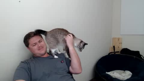 purplecups online show from April 12, 9:05 pm