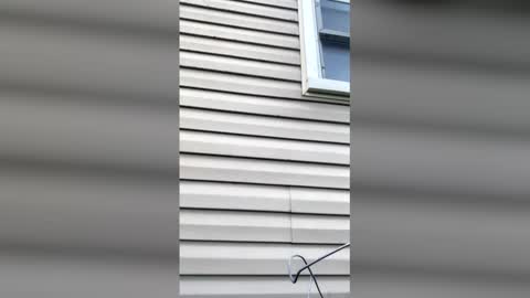 pyrex8 online show from April 11, 11:36 am