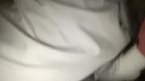 qlf0506 online show from October 31, 2:46 am