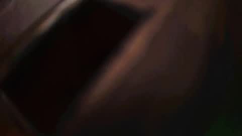 rarvet online show from December 1, 12:46 am