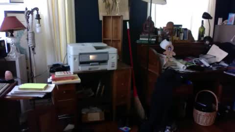 ray1776ray online show from March 25, 6:12 pm