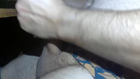 realman034 online show from March 4, 2:17 am