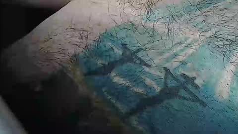 realrubpirate online show from February 9, 9:14 am