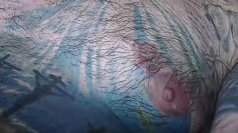 realrubpirate online show from March 21, 8:52 am