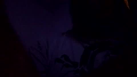 Snapshot of richardsone1 chatting on October 27, 12:46 am Babu online show from October 27, 12:46 am