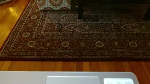 rightnow799 online show from January 10, 8:22 pm