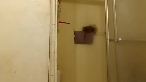 robertsaiz4200 online show from October 24, 3:41 am