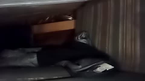 R online show from November 22, 3:00 pm