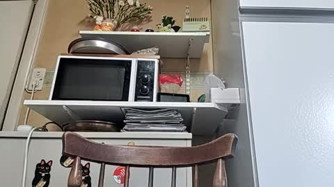 robke1966 online show from April 6, 5:52 am