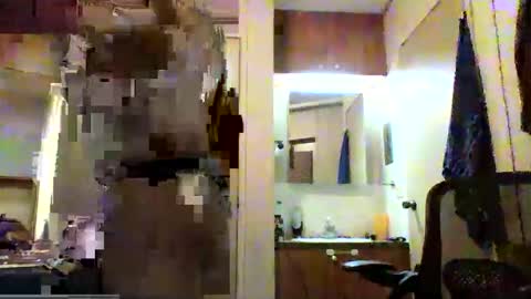 Romeo online show from April 2, 10:01 am