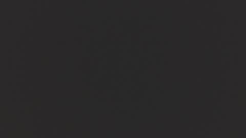 sc1981 online show from April 19, 2:22 am