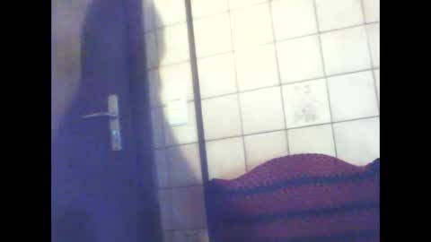 schnibschnab online show from December 17, 2:52 am